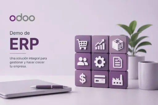 Una demo de ERP.