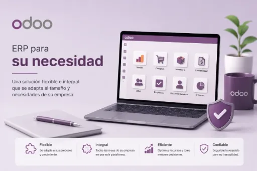 Una demo de ERP para su necesidad.